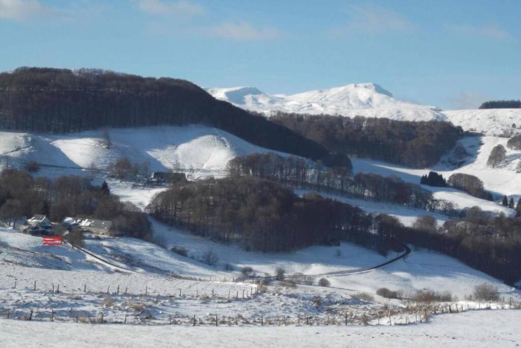 Chalet En Pleine Nature Pour 12 Personnes Besse-et-Saint-Anastaise Exterior foto
